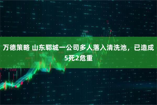 万德策略 山东郓城一公司多人落入清洗池，已造成5死2危重