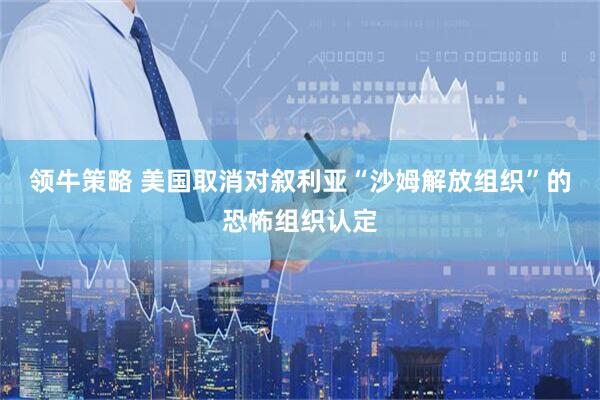 领牛策略 美国取消对叙利亚“沙姆解放组织”的恐怖组织认定