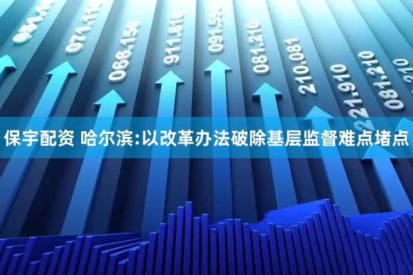 保宇配资 哈尔滨:以改革办法破除基层监督难点堵点