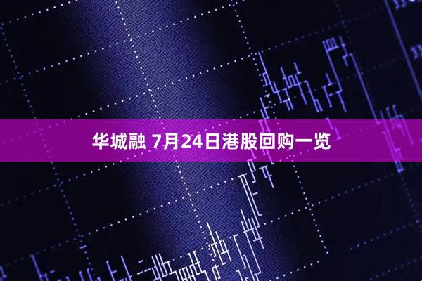 华城融 7月24日港股回购一览