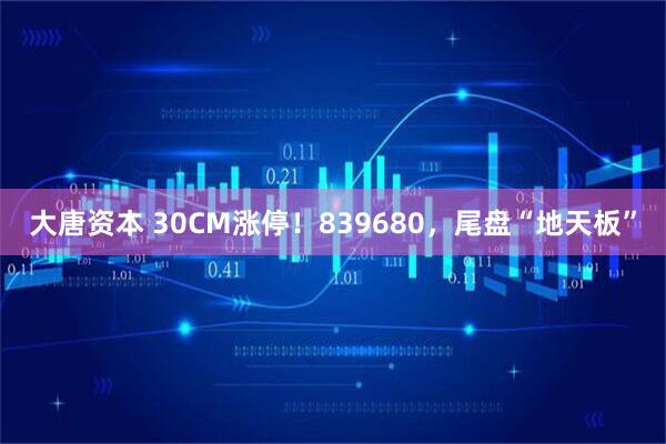 大唐资本 30CM涨停！839680，尾盘“地天板”