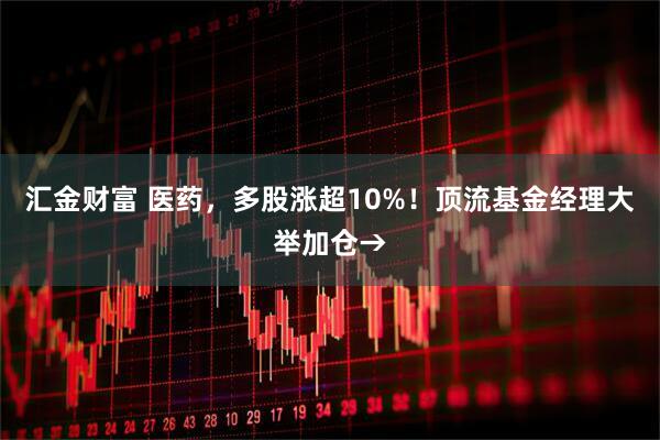 汇金财富 医药，多股涨超10%！顶流基金经理大举加仓→
