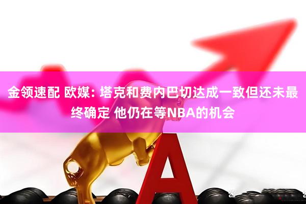 金领速配 欧媒: 塔克和费内巴切达成一致但还未最终确定 他仍在等NBA的机会