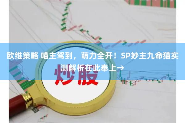 欧维策略 喵主驾到，萌力全开！SP妙主九命猫实测解析在此奉上→